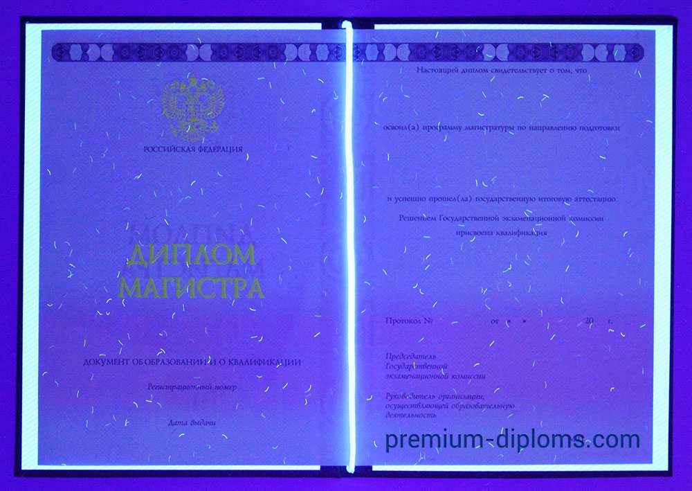 диплом магистра 2014-2020 год