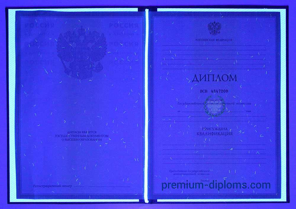 Диплом бакалавра 2004-2009 год фото